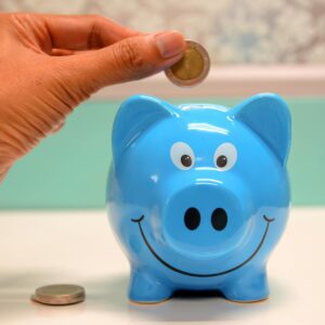person putting coin in a piggy bank